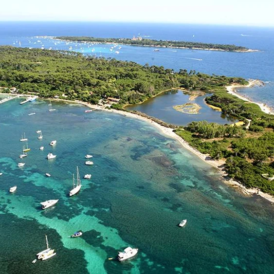 Îles-de-Lérins